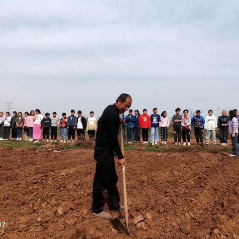 【趁春耕，去劳动】——温泉镇连庄小学劳动实践掠影