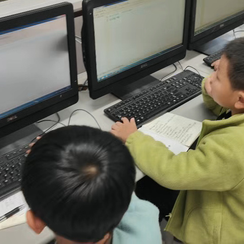 【白龙桥镇乡村学校少年宫】探索编程世界，共创科技未来