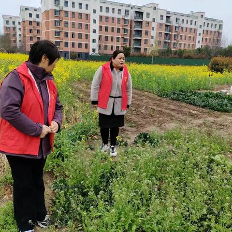 平安法制星---阳光社区 开展罂粟禁种铲毒宣传排查活动