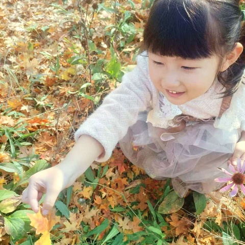 “拾一片落叶🍂 绘一抹童心”～～～东马幼儿园树叶创意贴画亲子活动