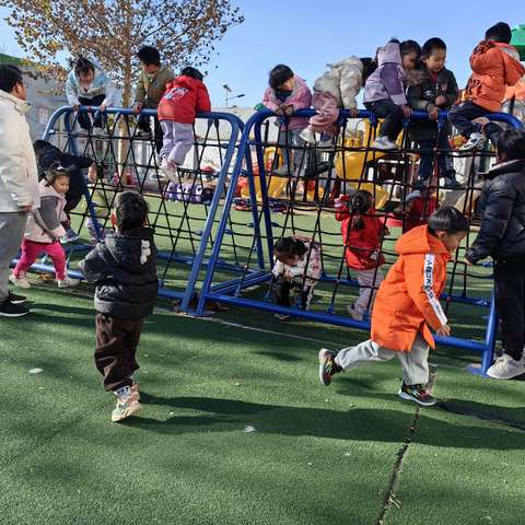 初冬暖阳，温暖如光