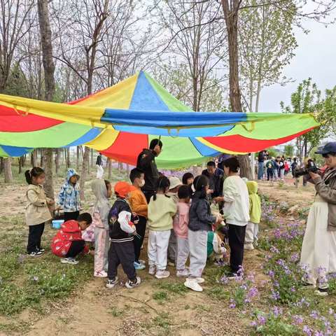 中三班四月成长记 | 在春日里探索、创造与成长