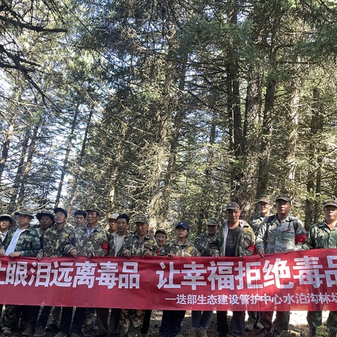 迭部生态建设管护中心水泊沟林场工作日报