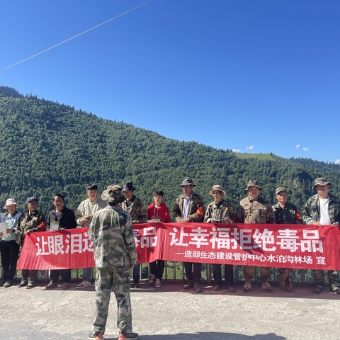 迭部生态建设管护中心水泊沟林场工作日报