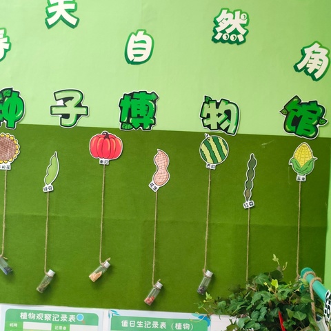 种植绿色梦想  点亮绿美广东 ——湛江市第十一小学“最美植物角”评比活动