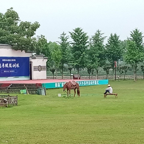 笑靥踏春行，不负好韶光——武汉市友谊路中学八（5）春季研学活动