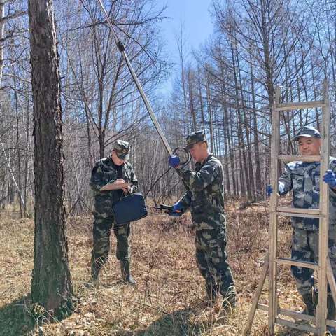 迎接益鸟回家——莫尔道嘎森防站清理鸟巢箱