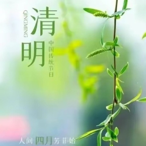 “清明融于情 红色润于心”——姚村镇席厂小学开展清明节系列活动