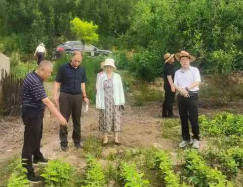 河南省林业技术工作总站副站长高福玲调研种苗项目