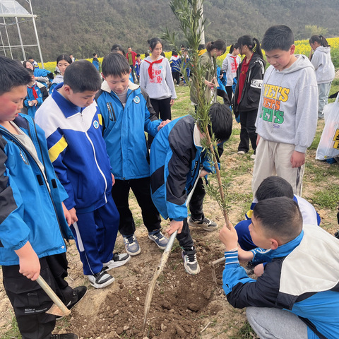 阳光正好[太阳]🌈微风不燥春暖花开🌻共赴一场春天的美好[爱心][爱心]爬楼取图哦[呲牙][呲牙]