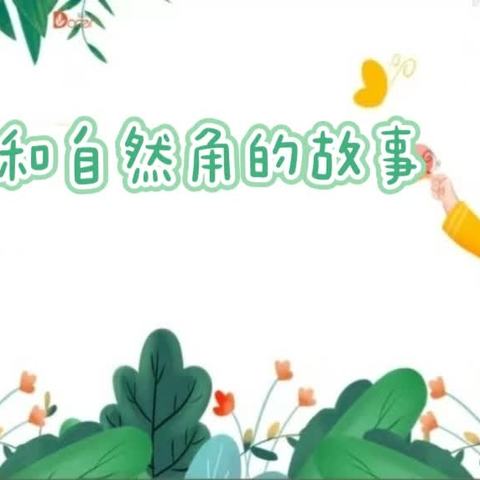 【韩城一幼大一班】春天，和自然角的故事——