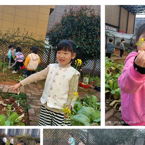 🌈白马桥街道中心幼儿园中二班萌娃第三周精彩纷呈✈️