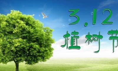 拥抱春天，“植”此青绿—— 裕华道第二小学植树节活动