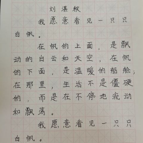 横竖撇捺有乾坤，一笔一画成文章——五（2）班书法比赛