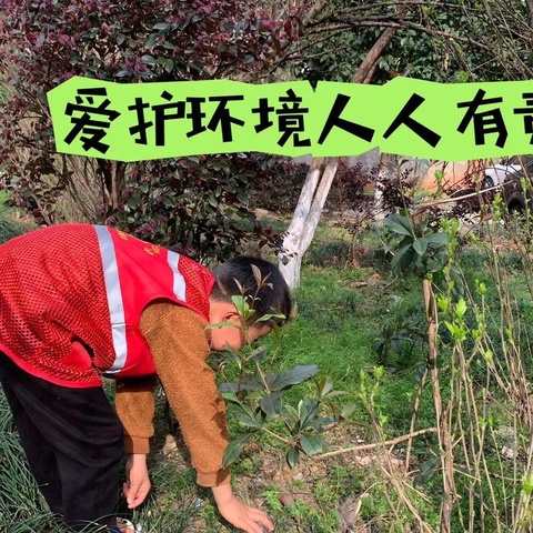 学习雷锋好榜样，志愿精神耀莲城——2203班学雷锋主题系列活动