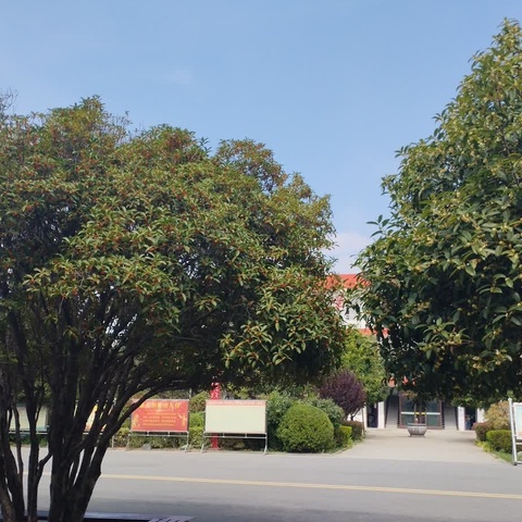 快乐国庆假，安全不放假---芒山二中国庆节假期安全主题班会活动纪实