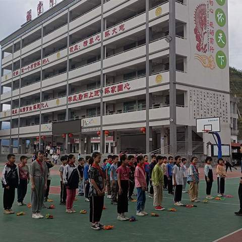 落实双减新理念，“基于新媒介提高小学生家庭体育作业有效性策略研究”市级课题交流活动