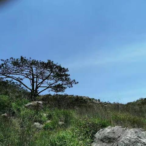 惠东白马山之旅