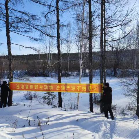 守护林海净土，筑牢生态防线依林林场巡山清套清网清夹专项行动