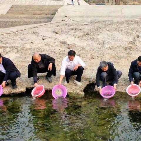 沿河：开展2022年濒危鱼类人工增殖放流活动