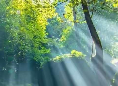 关中硒原     幸福渠岸