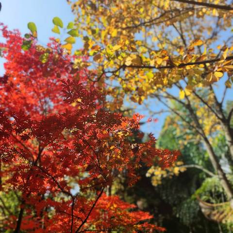 七年级上册古诗词默写检测