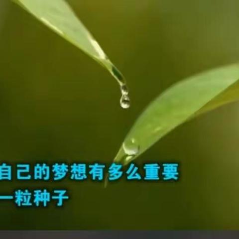 学海拾贝分享一——《人人都是教育家之教育真相》