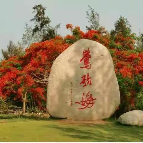 莺歌海中学“社会文明大行动·志愿服务我先行”学雷锋活动