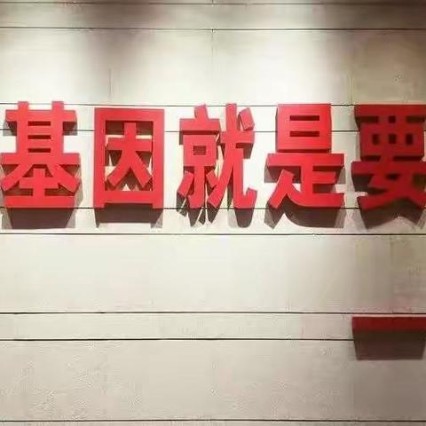 【童眼看枣庄】 “星火阅读品经典 红色基因代代传”——文化路小学东校六年级（4）中队月度主题活动