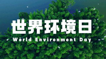 大武小学 “共建清洁美丽新方山★争做绿色环保小主人”    主题活动