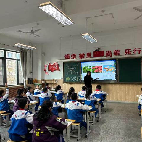 “研”途有光 “语”君共赏——九一小学南中环校区语文教研活动