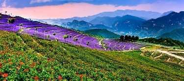 探路者漫山俱乐部9-22日《绿溪谷+南天丽景》双景区特价一日游