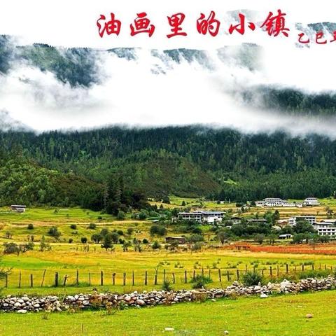 鲁荣安 书法艺术