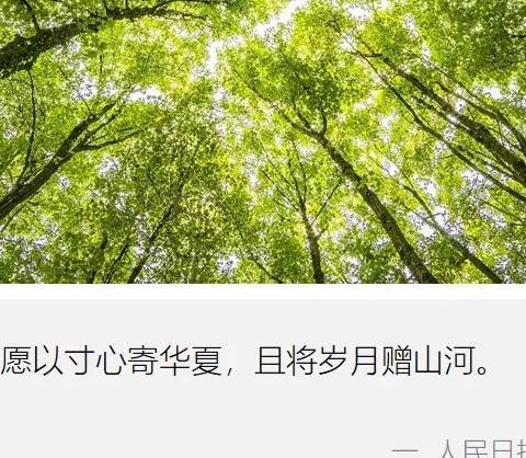 语短情长话深恩———803班向祖国母亲73岁献礼