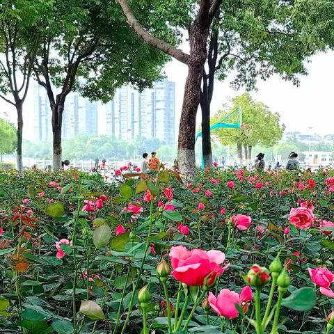 家校携手护成长 防“溺”家访暖人心