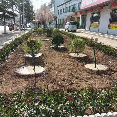 打造精品绿化工程、美化靓化镇村环境