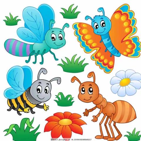南雅中心幼儿园主题活动《有趣的昆虫》