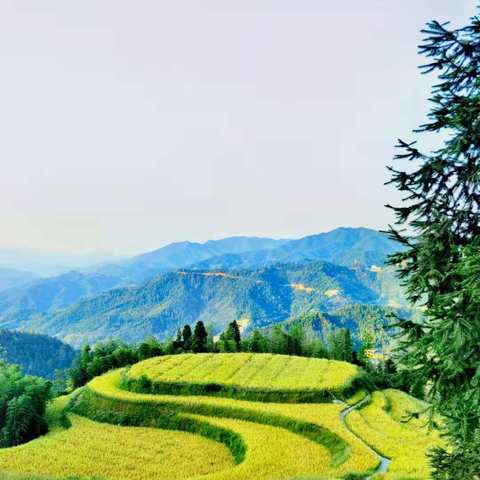 10月生活课————《走进遂川》