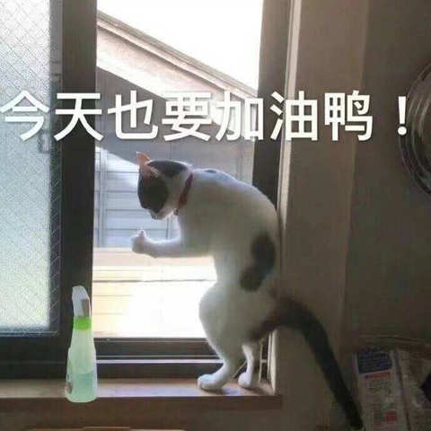 西山小学第十六周工作汇报