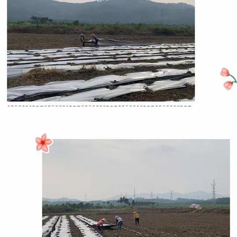 海南就业驿站定安母瑞山片区站的美篇