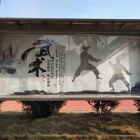 武少年风采，塑校园精神——金罗镇中学武术特色校园文化建设纪实