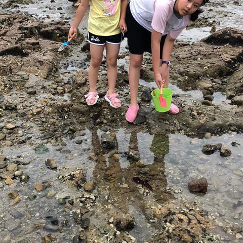 赶海识趣