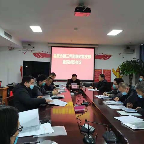 县政协第三界别临时党支部开展委员述职活动