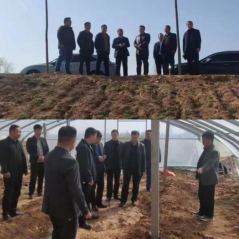 县政协副主席王瑞岭到张二庄镇开展大走访大调研活动