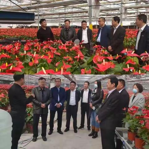 县政协副主席王瑞岭到棘针寨镇开展大走访大调研活动