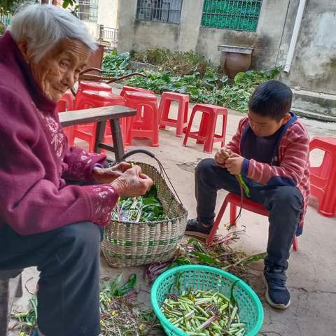 家风来自奶奶