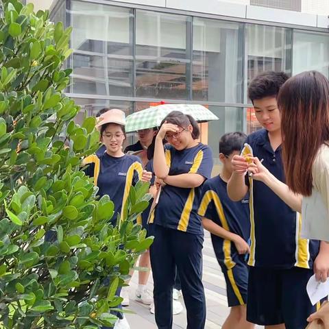 【实地考察学习】爱生活   爱自然