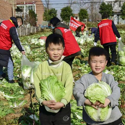 “滞销菜”变“爱心菜”！国网永城市供电公司开展消费助农活动。