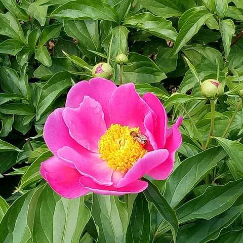 超化镇超化小学“弘扬传统文化  打造快乐校园”展示活动