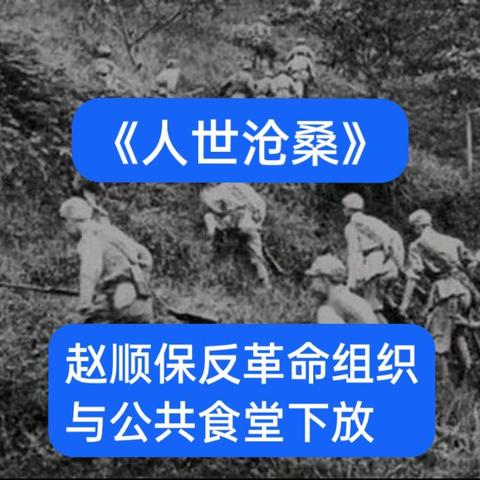 《人世沧桑》之赵顺保反革命组织与公共食堂下放